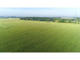 Tillable & Wooded Farmland in Allen County, Indiana - LAND AUCTION - 184+/- ACRES OFFERED IN 3 TRACTS IN ALLEN COUNTY, INDIANA